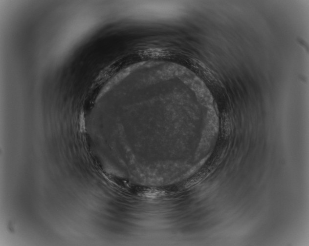 X0000094770760200712141557