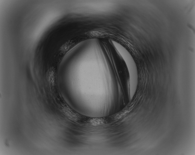 X0000094770762200712141557