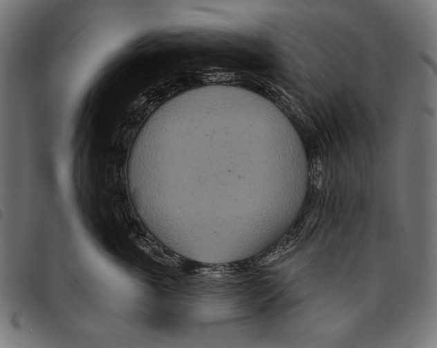 X0000094770763200712141557