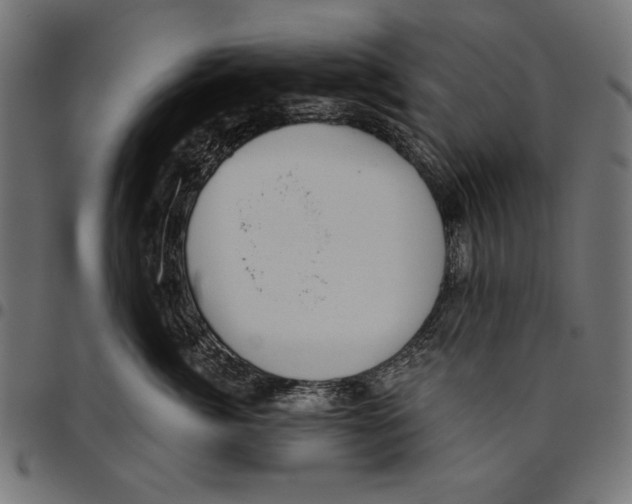 X0000094770764200712141558