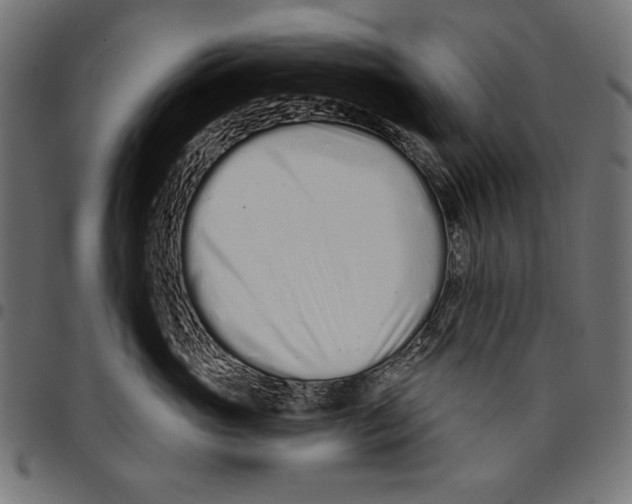 X0000094770765200712141558