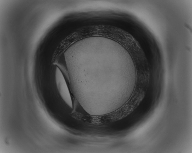 X0000094770766200712141558