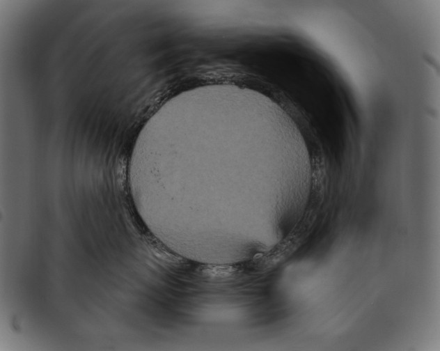 X0000094770767200712141558