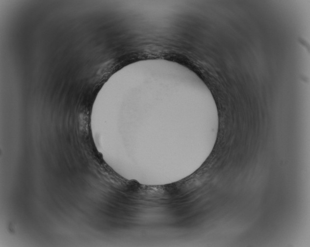 X0000094770768200712141558