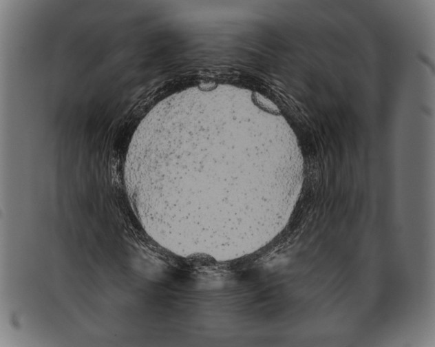 X0000094770770200712141557