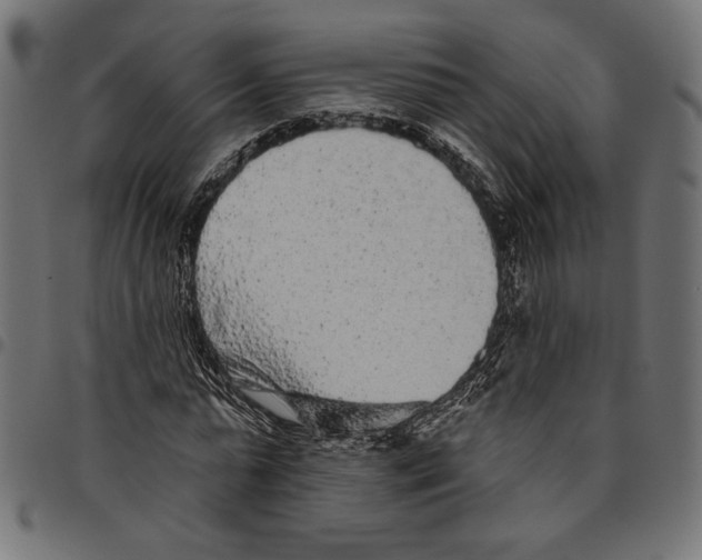 X0000094770775200712141557