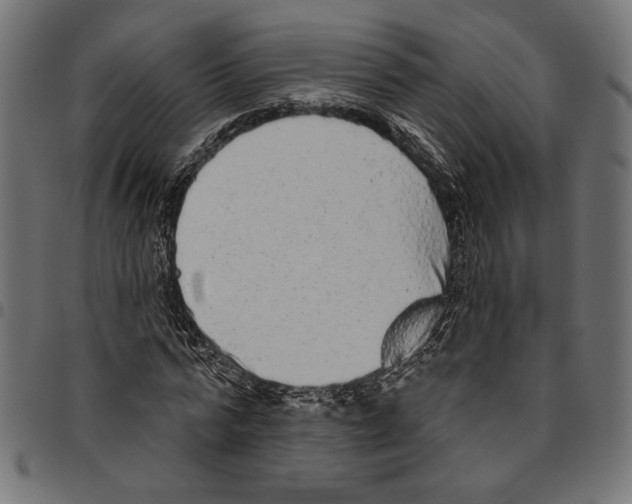 X0000094770776200712141557