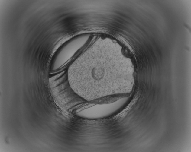 X0000094770781200712141557