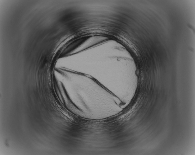 X0000094770782200712141557