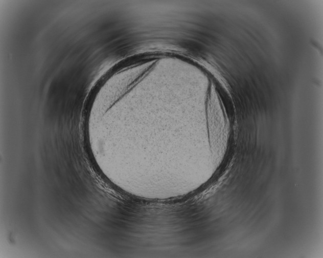 X0000094770783200712141557