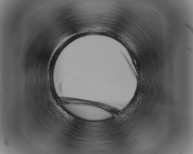 X0000094770784200712141557