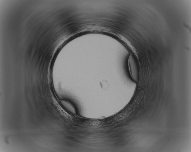 X0000094770791200712141557