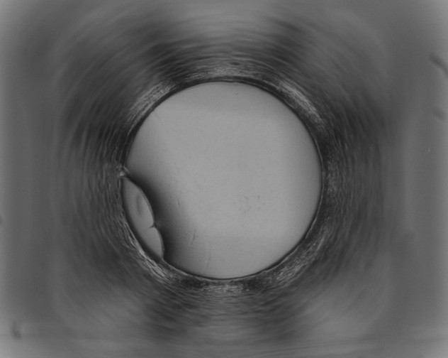 X0000094770793200712141557