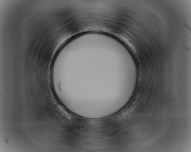 X0000094770799200712141556