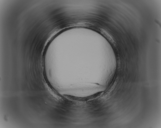 X0000094770800200712141556