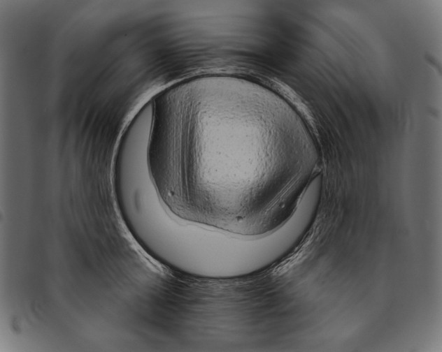 X0000094770803200712141556