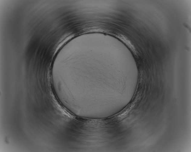 X0000094770806200712141556