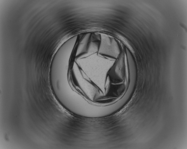 X0000094770810200712141556