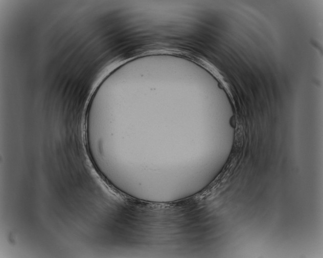 X0000094770811200712141556