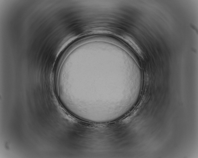 X0000094770814200712141556