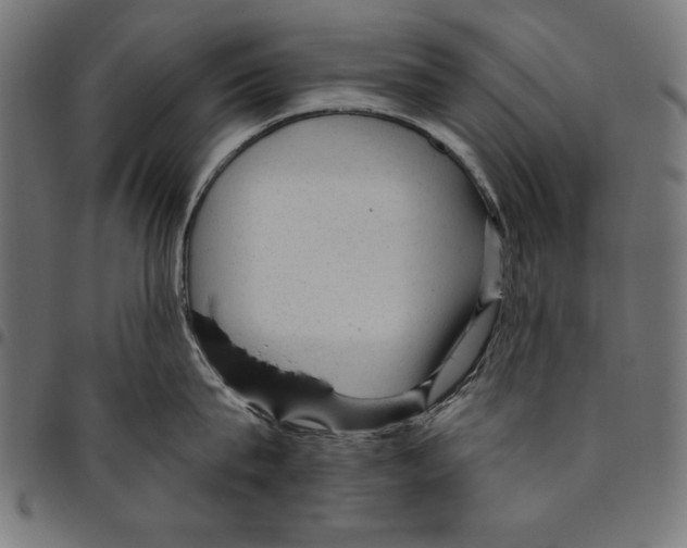 X0000094770815200712141556