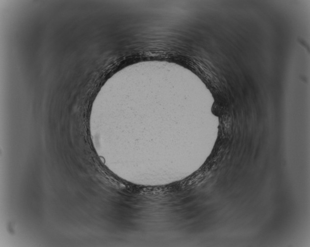 X0000094770817200712141555