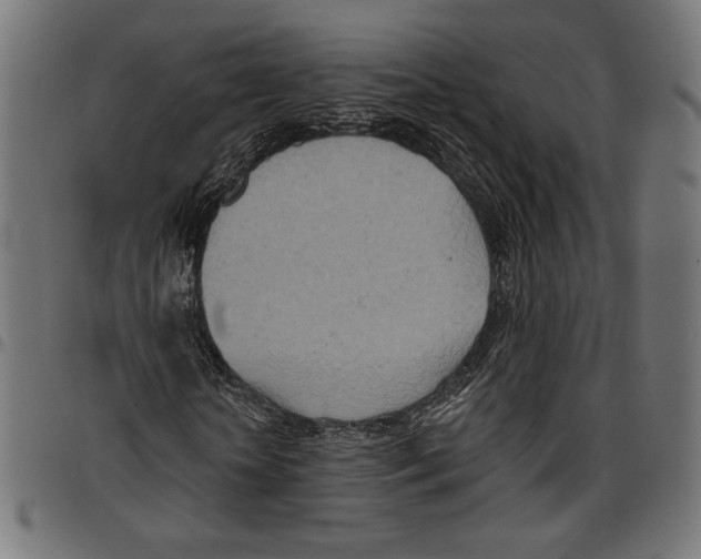 X0000094770818200712141555