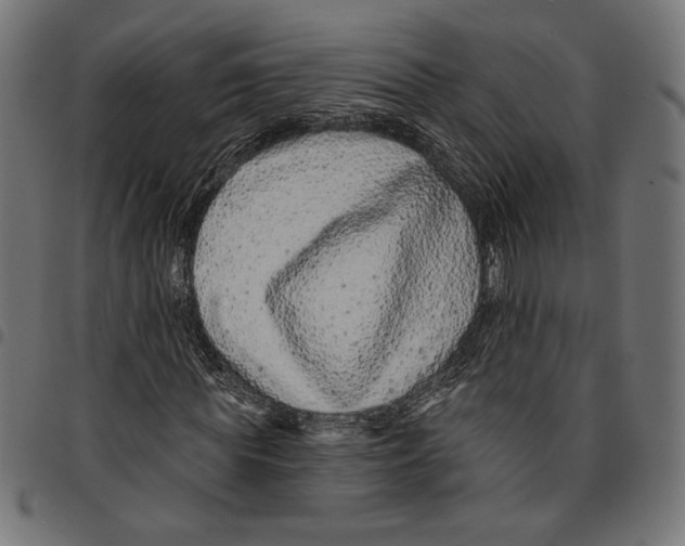 X0000094770819200712141555