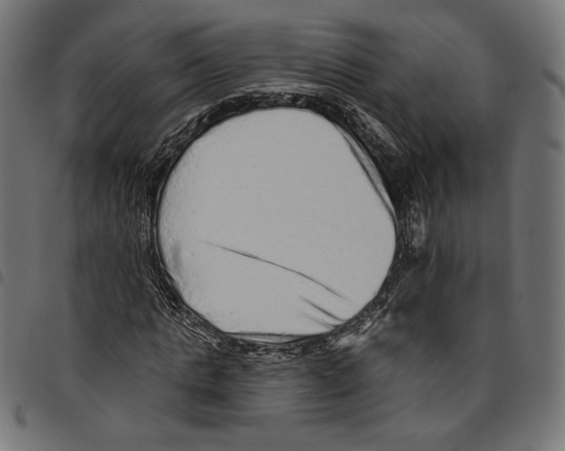 X0000094770821200712141555