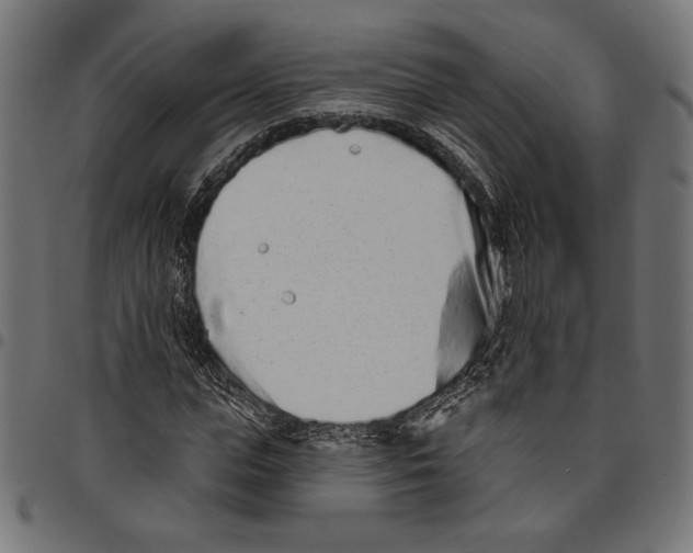 X0000094770823200712141556