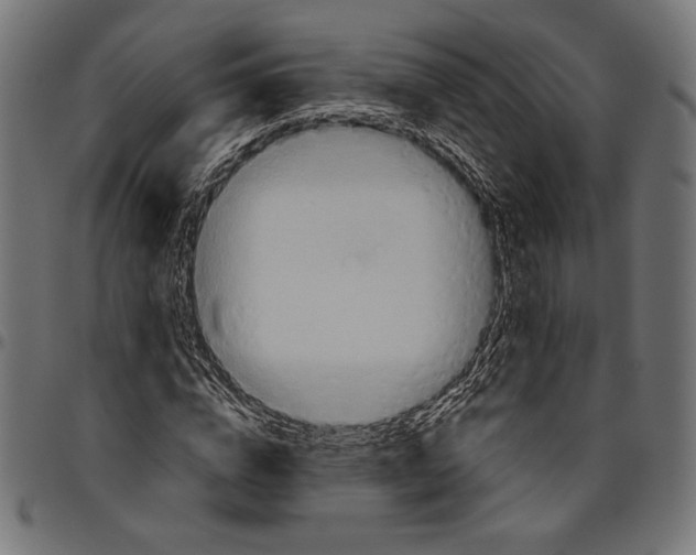 X0000094770824200712141556