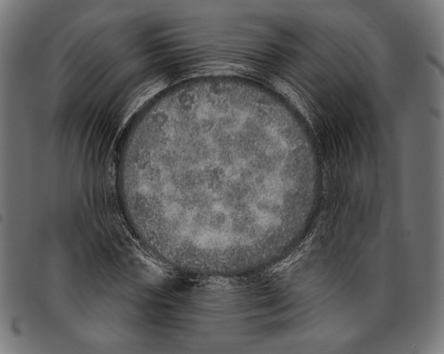 X0000094770827200712141556