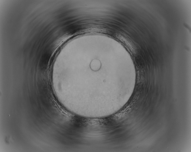 X0000094770828200712141556