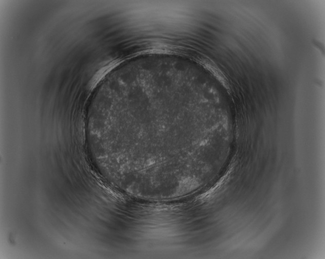 X0000094770829200712141556