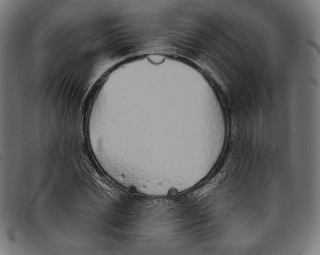 X0000094770830200712141556