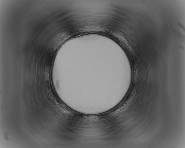 X0000094770833200712141556