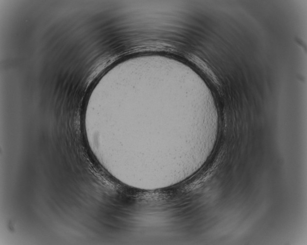 X0000094770834200712141556