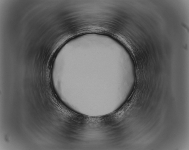 X0000094770835200712141556