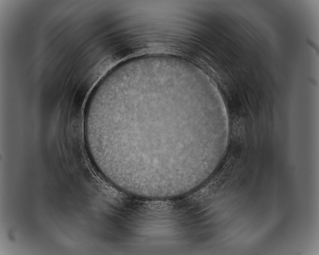 X0000094770836200712141556