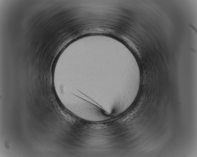 X0000094770837200712141556