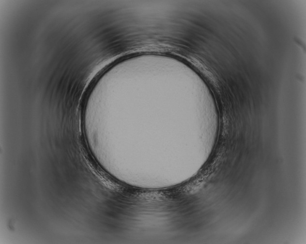 X0000094770838200712141556