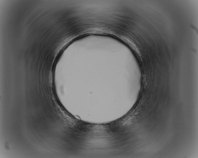 X0000094770839200712141556