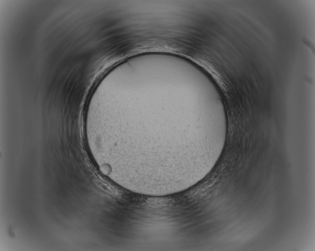 X0000094770840200712141556