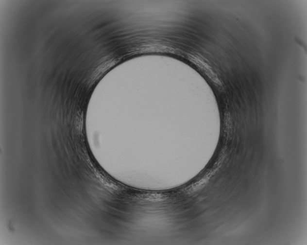 X0000094770841200712141556