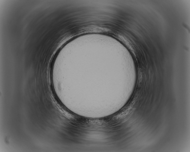 X0000094770843200712141556