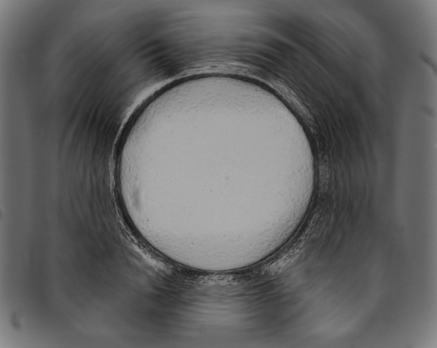 X0000094770846200712141556