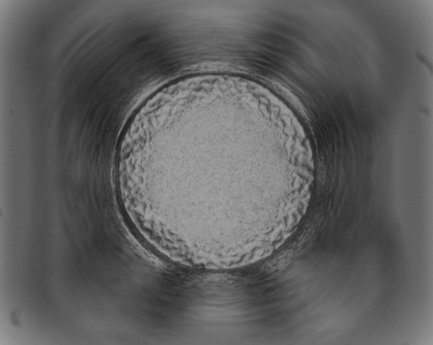 X0000094770847200712141556