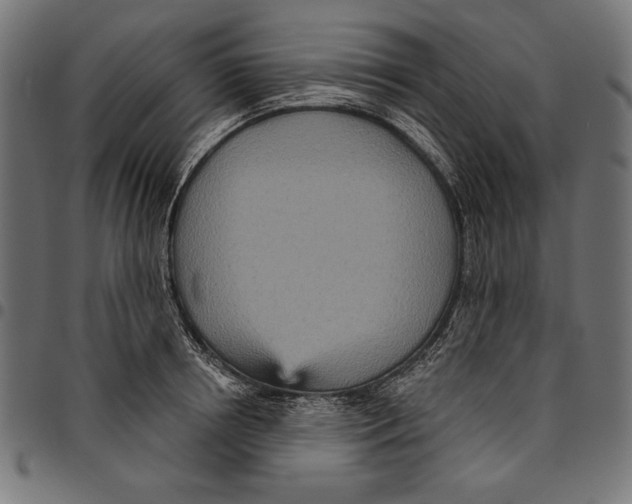 X0000094770850200712141556