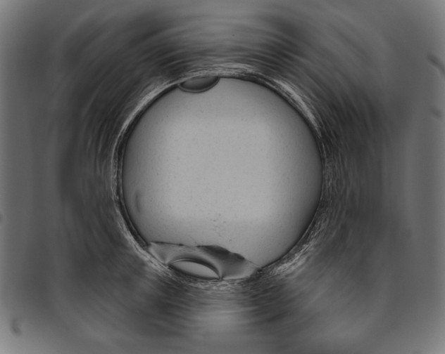 X0000094770851200712141556