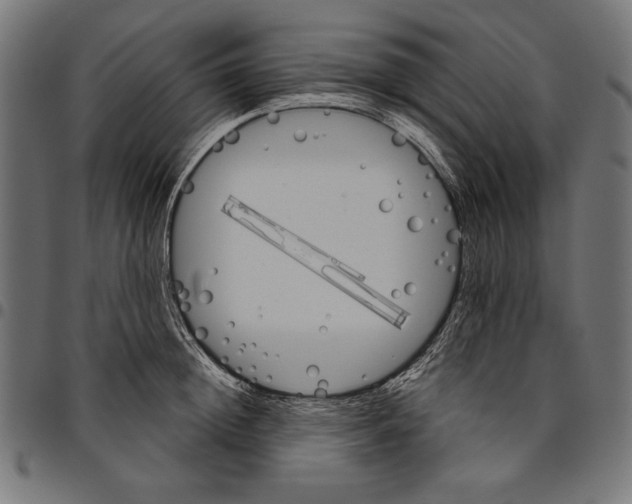 X0000094770852200712141556